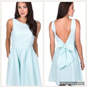 Lauren James Emerson Dress Seersucker Blue White L
